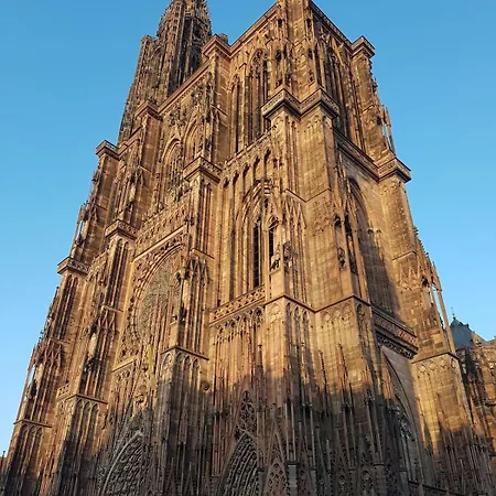 Appartamento Le 11 - Terrasse Et Jardin à 10 Minutes à Pieds Du Centre-ville