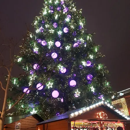 Le 11 - Terrasse Et Jardin à 10 Minutes à Pieds Du Centre-ville