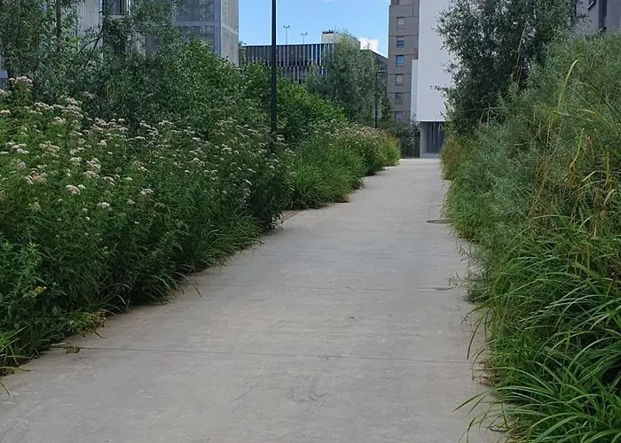 Le 11 - Terrasse Et Jardin A 10 Minutes A Pieds Du Centre-ville