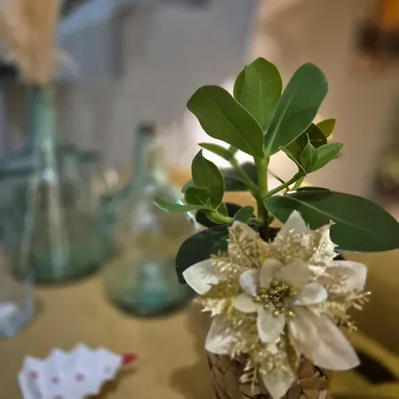 Le 11 - Terrasse Et Jardin A 10 Minutes A Pieds Du Centre-ville דירה