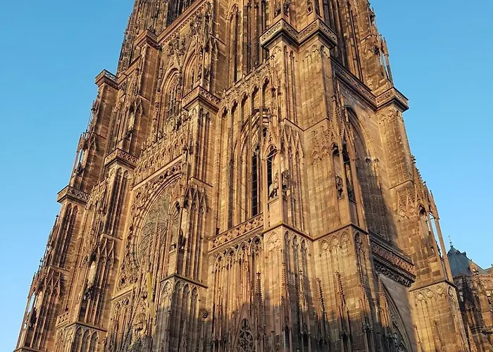 Apartment Le 11 - Terrasse Et Jardin A 10 Minutes A Pieds Du Centre-ville