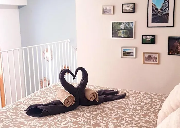 Le 11 - Terrasse Et Jardin A 10 Minutes A Pieds Du Centre-ville Apartment *