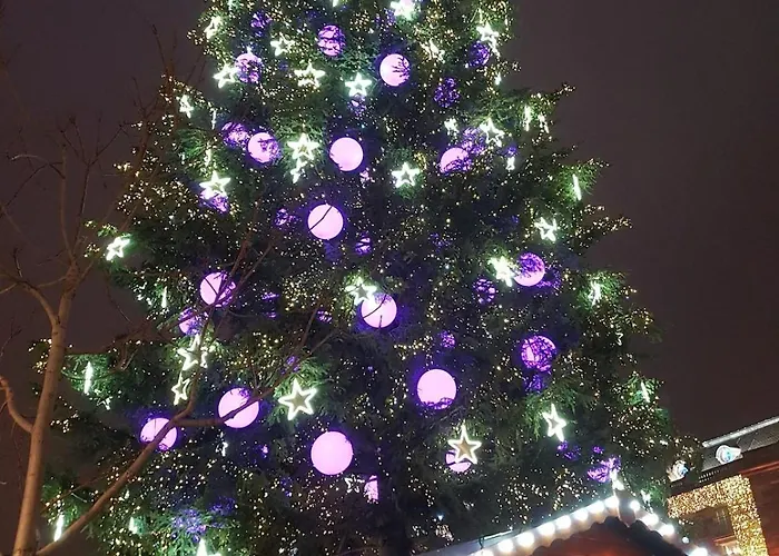 Le 11 - Terrasse Et Jardin A 10 Minutes A Pieds Du Centre-ville