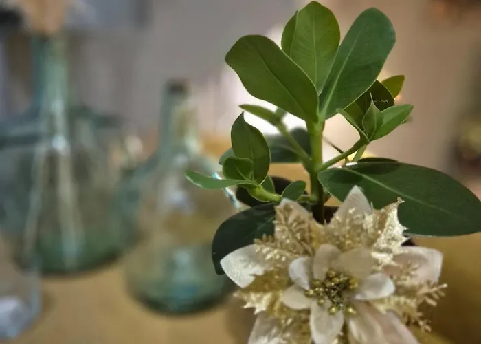 Le 11 - Terrasse Et Jardin A 10 Minutes A Pieds Du Centre-ville Apartment